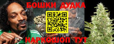 индика Будённовск
