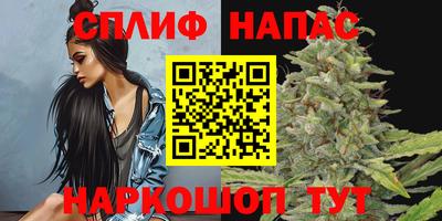 индика Будённовск