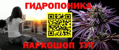 индика Будённовск