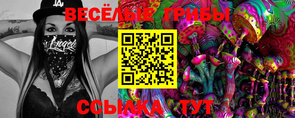 даркнет сайт  Галлюциногенные грибы MAGIC MUSHROOMS  Вход с VPN  Тюмень 